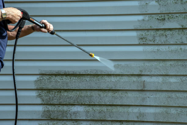 Local Pressure Washing Services in Lillian, AL